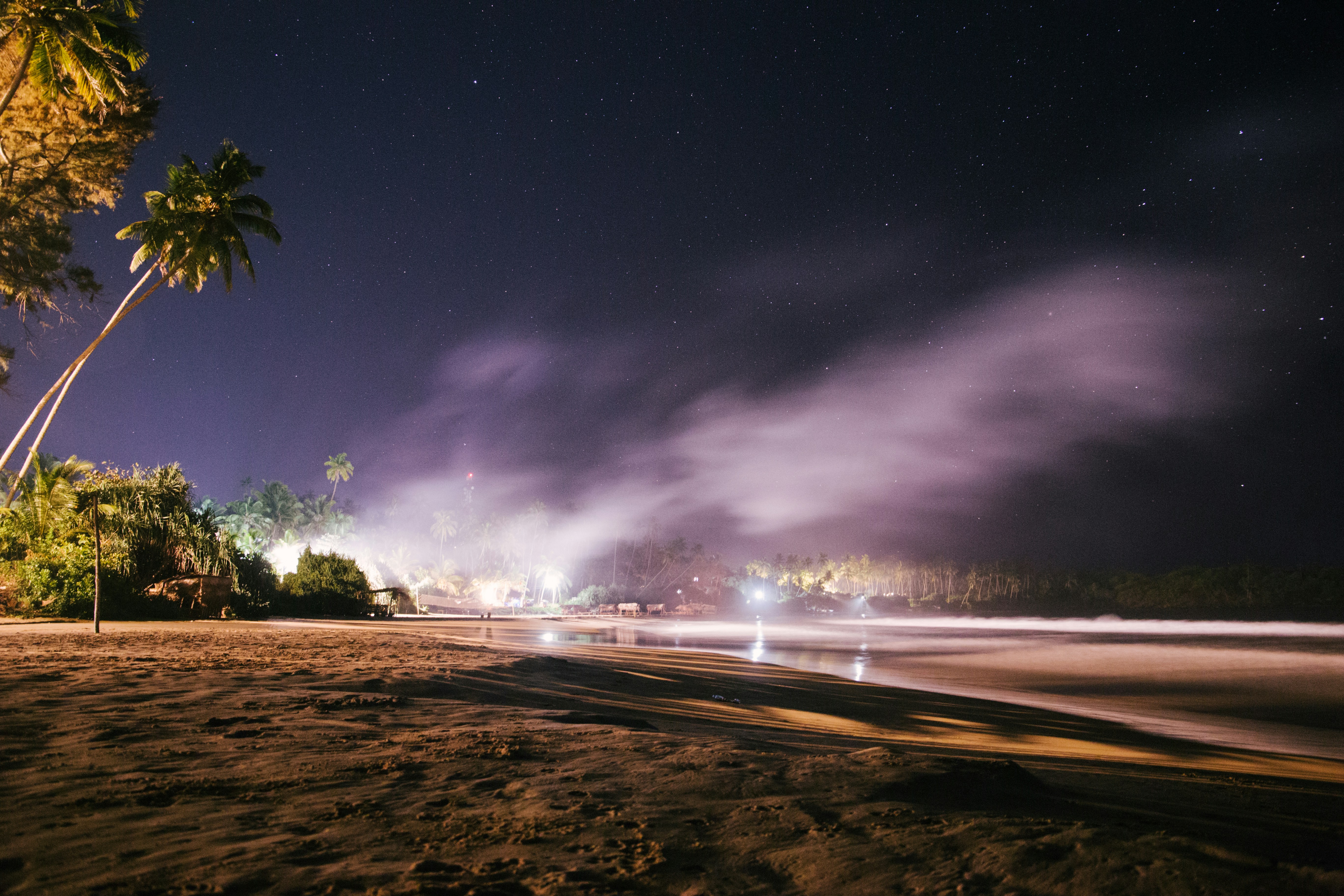 Cruise & Nightlife Experiences